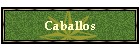 Caballos